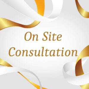 On Site Consultation